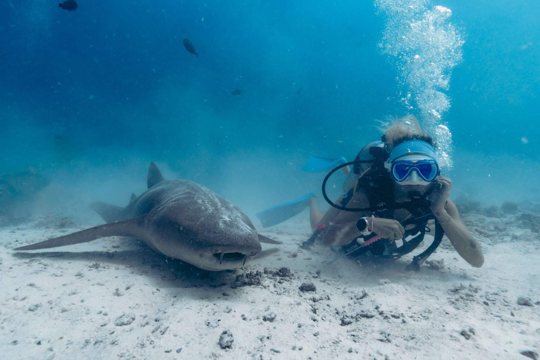 Blue Horizon diving